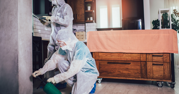 how often should pest control be done