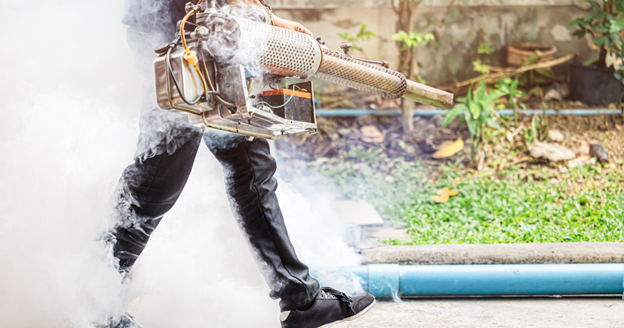 how often should pest control be done