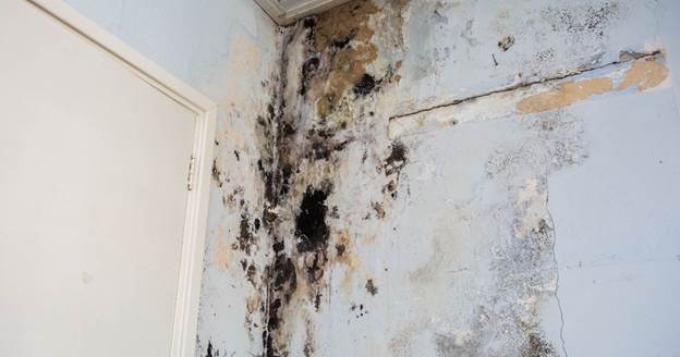 emergency water damage and restoration process